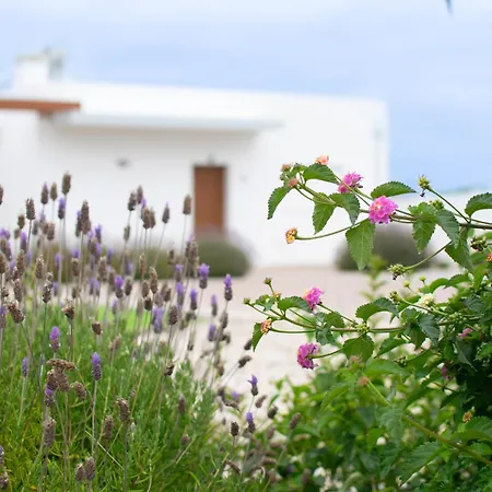 Marar Local Vakantiehuis *